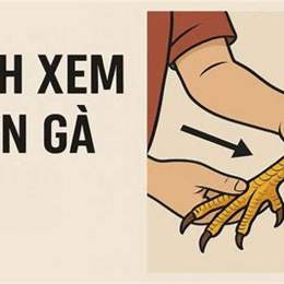 cách xem gà chọi đá hay