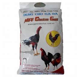 cám gà đá chicken gold