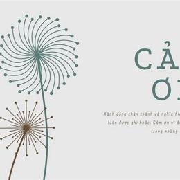 cảm ơn vì đã để anh gặp được em
