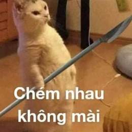 cấp 2 đã địt nhau như gà