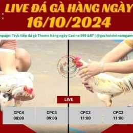 casino 999 casino 999 đá gà trực tiếp thomo