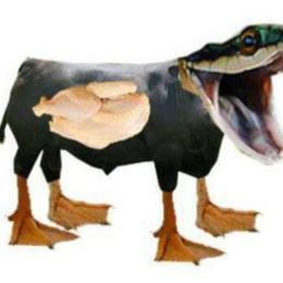 chẳng vịt thịt gà da trâu đầu rắn