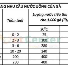 chế độ cho gà đá