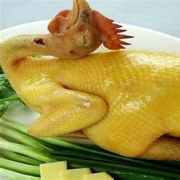 chịch nhau như gà trên ghế đá