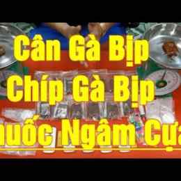 chíp đá gà bịp