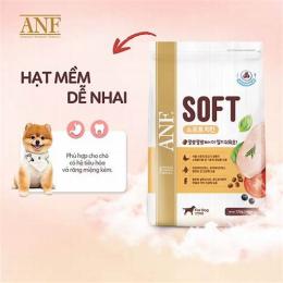 chó tốt gà đá dĩ an