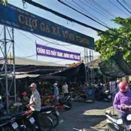 chợ tốt ga da