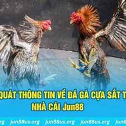 chon ga da cua sat