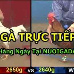 chuc tiep da ga hom nai