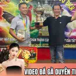 clip đá gà duyên ti