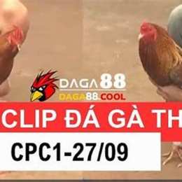 clip da ga noi