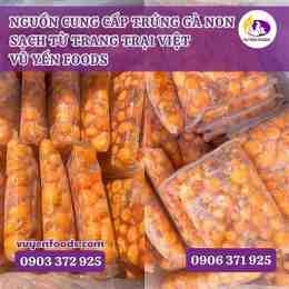cung cấp da gà đông lạnh