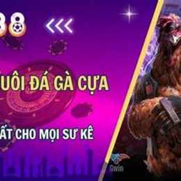 đá gà 18 tháng 8