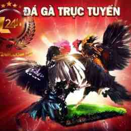 đá gà 27