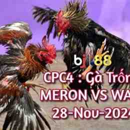 đá gà 357