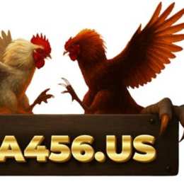 đá gà 456 net