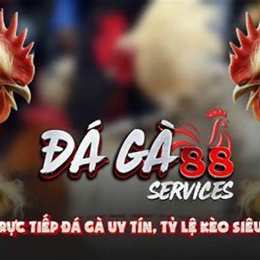 da ga 88 c com
