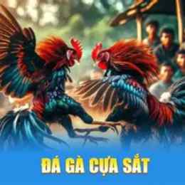 đá gà 88 cua dao