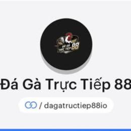 đá gà 88 dev