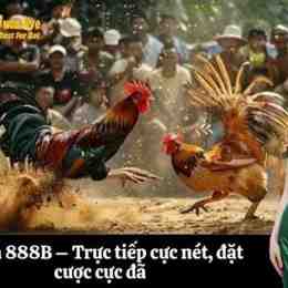 đá gà 888b one