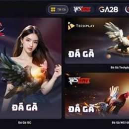 đá gà 88clb