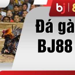 đá gà 8kbet