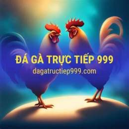 đá gà 999 tv