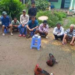 đá gà ăn tiền trên mạng