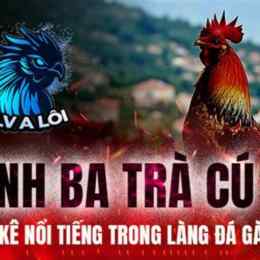 đá gà anh ba cọp