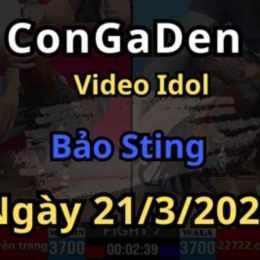 đá gà bảo stinh