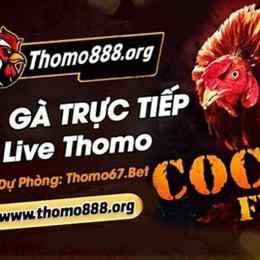 đá gà bình luận thomo hôm nay