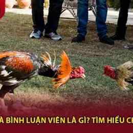 đá gà bình luận viên c2