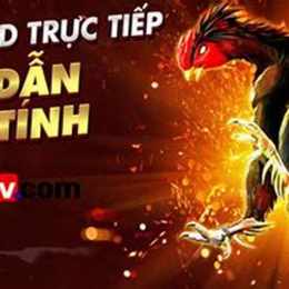 đá gà bình luận viên ngày hôm nay