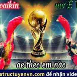 đá gà bịp roykin và mơ eto