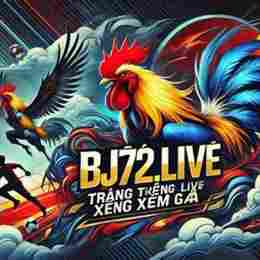 đá gà bj72