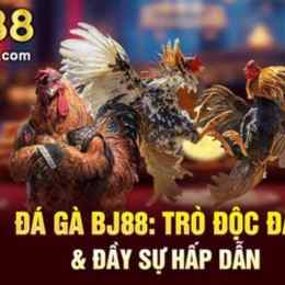 đá gà bj88 gem
