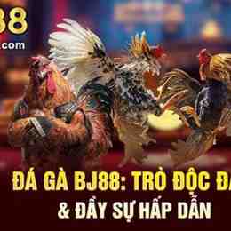 đá gà bj88.pro