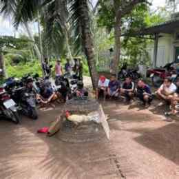 đá gà bồ công anh