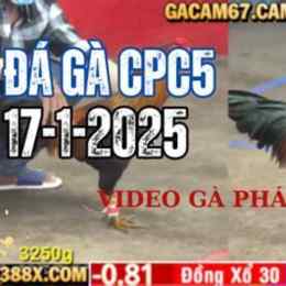 da ga c1 20/6