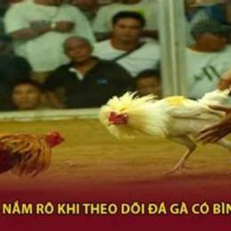 đá gà c1 bình luận viên