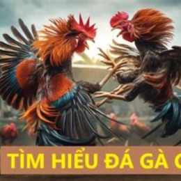 da ga c1 moi nhat