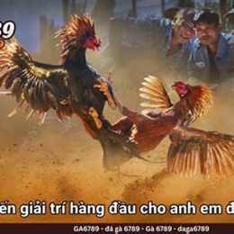 đá gà c2 hôm nay trận 16