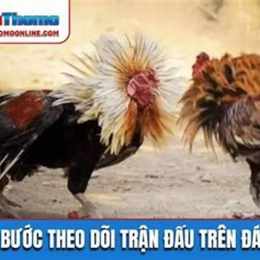 da ga c2 tran 16