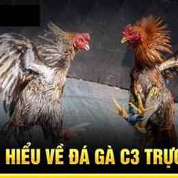 đá ga c3 12 1