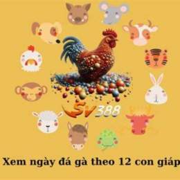 da ga c3 ngay 12 6
