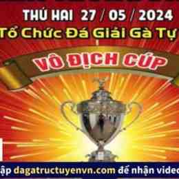 đá gà c3 ngày 27 trận 54