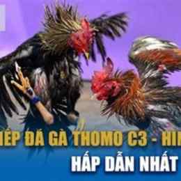 đá gà c3 ngày 6 tháng 7 năm 2025