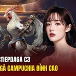 đá gà c3 trận 25