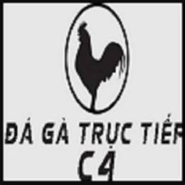 đá gà c4 ngày 7/6/2024