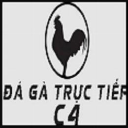 đá gà c4 tịnh biên